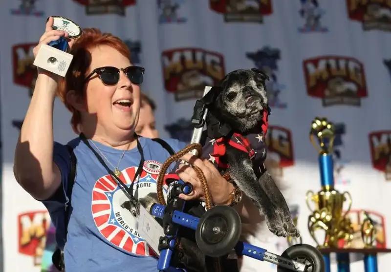 В США прошел конкурс "Самая уродливая собака в мире"