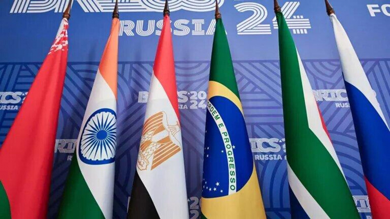 В парламенте Сербии учредили группу по сотрудничеству с БРИКС